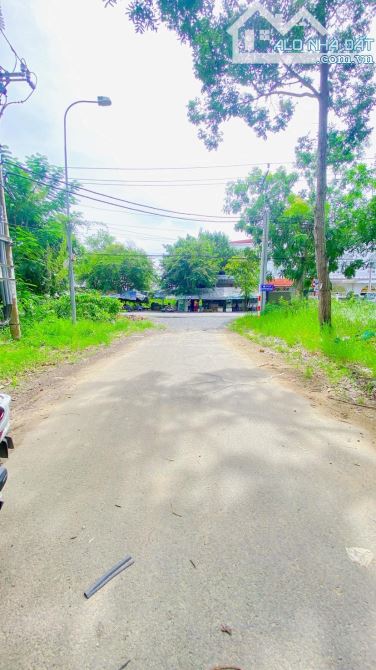 Cho thuê đất 2.200 m2 góc 3 mặt tiền biệt thự Cồn Khương - 5