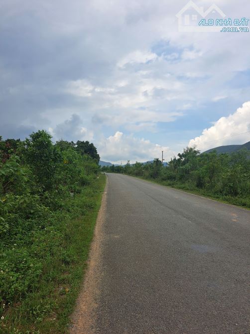 Bán đất MT Tỉnh lộ 5, xã Tây Ninh Hòa vị trí đẹp tiềm năng cao - 5