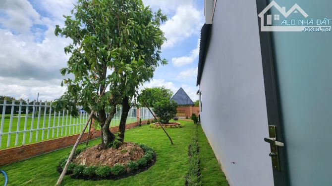 Bán nhà vườn 2.200m² tại An Ninh Đông, Đức Hòa – Gần TP.HCM, sổ hồng riêng - 6