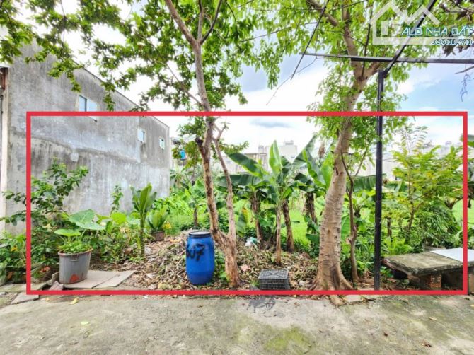 4,3Tỷ TL🔥Bán đất 230m2_Ngang 10m_Gần đường Bình Hòa 04, P.Bình Hòa, Tp Thuận An - 6