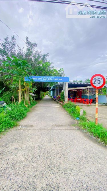 Bán đất 3.100 m2 hẻm Nguyễn Văn Linh có view sông - 6