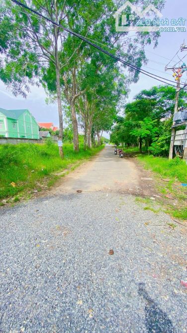 Cho thuê đất 2.200 m2 góc 3 mặt tiền biệt thự Cồn Khương - 6