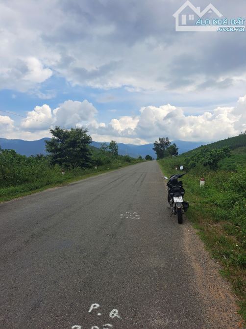 Bán đất MT Tỉnh lộ 5, xã Tây Ninh Hòa vị trí đẹp tiềm năng cao - 6