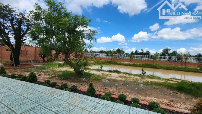 Bán nhà vườn 2.200m² tại An Ninh Đông, Đức Hòa – Gần TP.HCM, sổ hồng riêng - 7