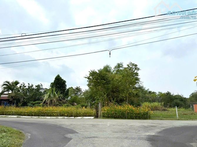 Thái Mỹ, HCM bán lô đất diện tích rộng 700m2 sẵn thổ cư giá 3,8ty - 8