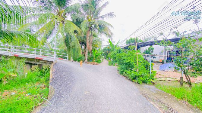 Bán đất 3.100 m2 hẻm Nguyễn Văn Linh có view sông - 8
