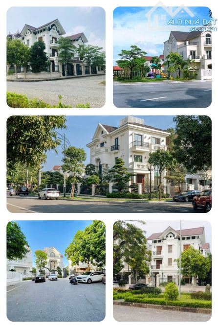 Bán mảnh đất 19tr/m2 tại Cổ Đông,Sơn Tây,vị trí tiềm năng,giá cực tốt - 8