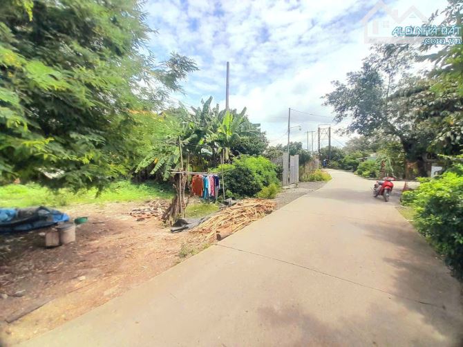Hàng Thơm, 309m2 đất thổ view sông nhựt tảo chỉ 1.1 tỷ - 8