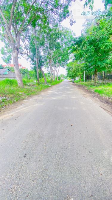 Cho thuê đất 2.200 m2 góc 3 mặt tiền biệt thự Cồn Khương - 8
