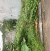 đất đẹp gần ngay võ nguyên giáp, đi cầu nhật tân chỉ 5 phút, ô tô vào đất