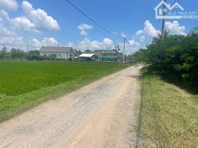 Giá Giảm mạnh  Lô đất Ấp Phước Thuận - Phước Lâm- Cần Giuộc lô đất 3148m2.Mt 80m.Giá chỉ