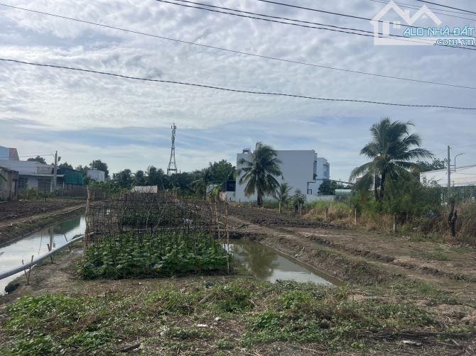 Bán 2.200 m2 đất CLN mặt tiền đuờng Dân Thuận,phuờng 9 tp Mỹ Tho