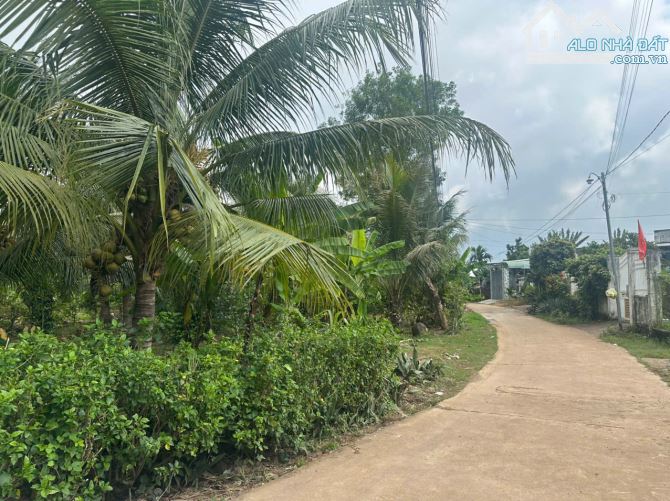 💥 Đất Chính Chủ Vĩnh An – 81m² Full Thổ – Đường Bê Tông – Gần Chợ, Khu Dân Cư