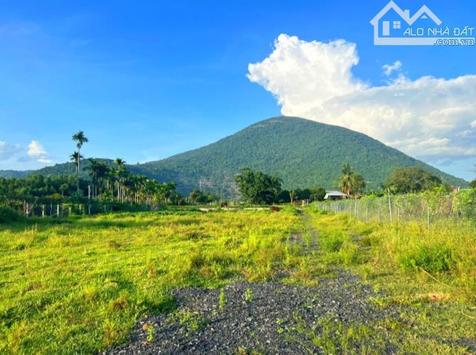 Cần bán đất Đường Trịnh Đình Thảo, Thị Trấn Dương Minh Châu Tây Ninh