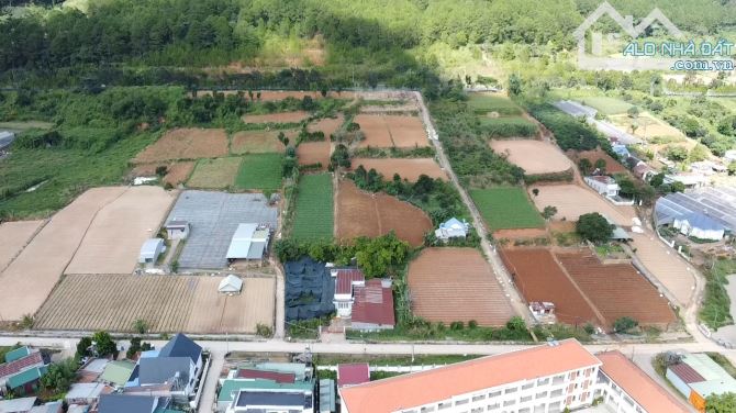 (Video Toàn Cảnh) Đất 100% qh Thổ Cư - Giá 1/2 Thị Trường