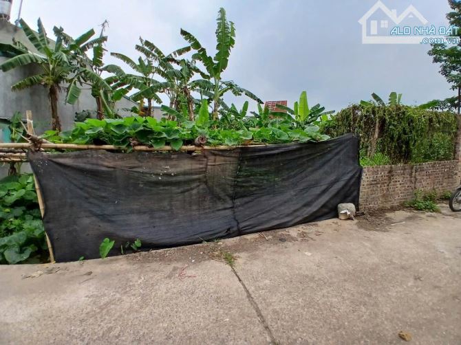 🔥GIẢM 400TR🔥 | BÁN ĐẤT XUÂN CỰ KHỐI - LONG BIÊN | NGÕ THÔNG XE TẢI TRÁNH - 68M² 💸 3.6T
