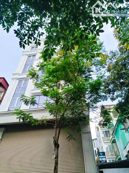 Bán toà VP ở Hai Bà Trưng, 225 m2, 10 tầng, Mt 11 m, giá 290 tỷ