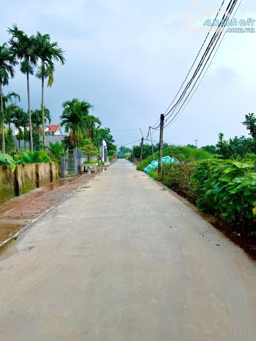 Thanh khoản nhanh 60,8m2 tại Đan Kim, Văn Giang, đường 4m thông thoáng