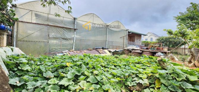 Bán đất Đà Lạt, đường ô tô tranh nhau Ngô Tất Tố, thoáng đẹp 613m2 giá 16,5 tỷ