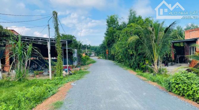 BÁN GẤP NỀN ĐẤT 5X57M MẶT TIỀN ĐƯỜNG NGUYỄN THỊ BÀU, HUYỆN CỦ CHI – CHỈ 580 TRIỆU