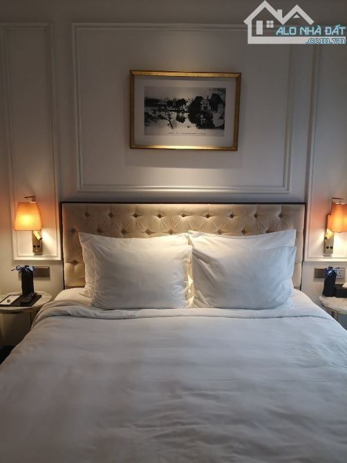 Khách Sạn MP Cửa Bắc, 180m2 x 15 Tầng - MT 7.5m - 50 Phòng - 185 Tỷ - Dòng tiền 33 Tỷ/năm