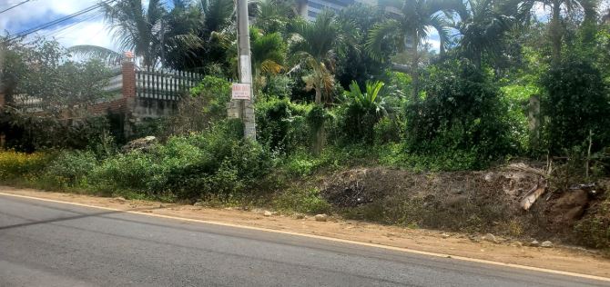 "Ra cho  chủ lô đất đẹp 6m mặt tiền đường nhựa ngay chợ Kado - 1