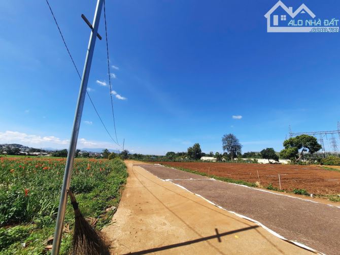 BÁN ĐẤT GIÁ TỐT TẠI ĐỨC TRỌNG  LÂM ĐỒNG– VỊ TRÍ ĐẸP, SỔ RIÊNG - 1