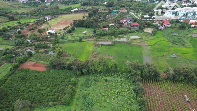 Cần bán lô đất hơn 7500m2 đất hẻm ÂU CƠ view ruộng, phường Thắng Lợi, Pleiku, Gia Lai - 1