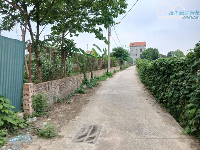 🔥GIẢM 400TR🔥 | BÁN ĐẤT XUÂN CỰ KHỐI - LONG BIÊN | NGÕ THÔNG XE TẢI TRÁNH - 68M² 💸 3.6T - 1