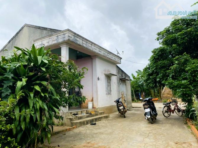 DO TUỔI CAO SỨC YẾU CẦN BÁN 11535M2 CÓ 200M2 THỔ CƯ NHÀ CẤP 4 ĐỦ LOẠI CÂY ĂN TRÁI CHỈ 4TỶ5 - 1