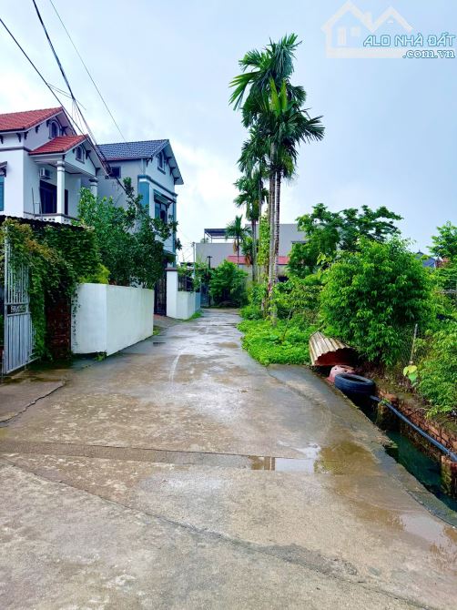 Thanh khoản nhanh 60,8m2 tại Đan Kim, Văn Giang, đường 4m thông thoáng - 1