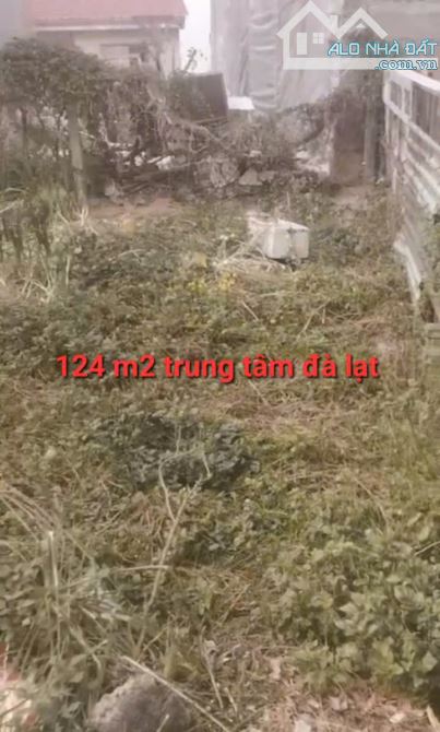 Bán 124m2 đất xây dựng sổ riêng  trung tâm đà lạt 9 tỷ - 1