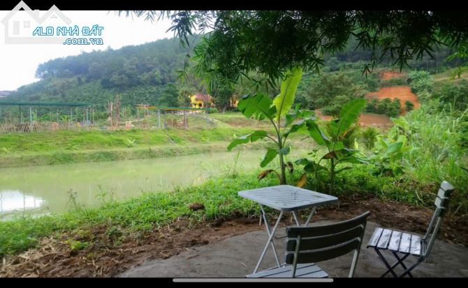 Chính chủ bán 7.000m2 đất sổ riêng ( đã có gần 300m2 đất xây dựng), ngoại ô Tp Đà Lạt - 1
