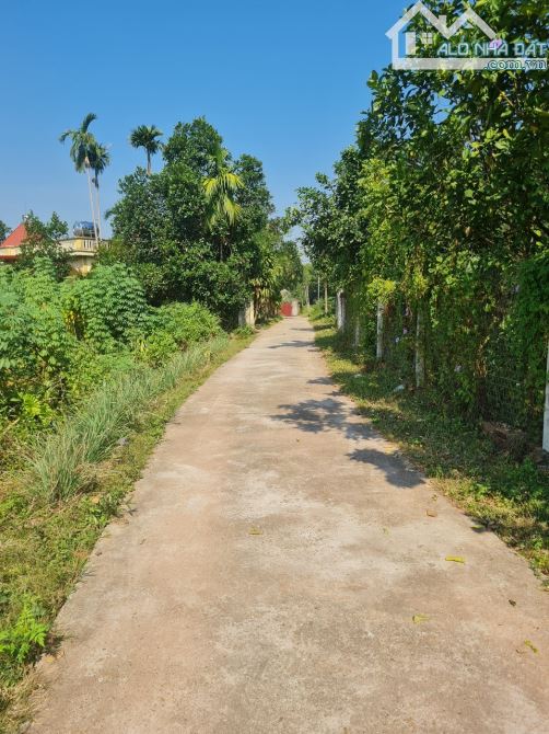 Bán Đất Việt Lập- Tân Yên , Bắc Giang .170m- Mặt tiền 7m Đường Ô Tô chạy vi vu. Giá 950tr - 2