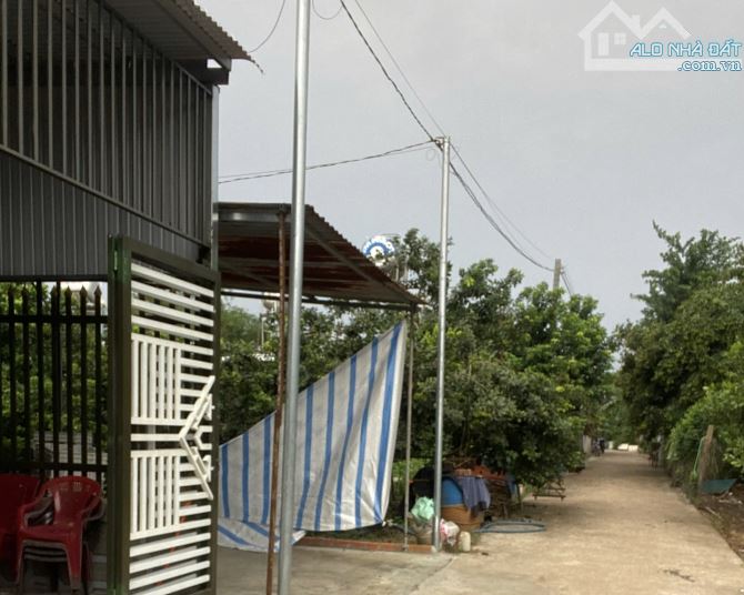 Bán đất trồng cây lâu năm quy hoạch hồng đường Suối Chồn, P Bảo Vinh, Đồng Nai - 2