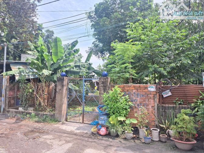 Đất gần ngã ba cây Điệp, phường Tân Đông Hiệp, Tp Dĩ An - 2