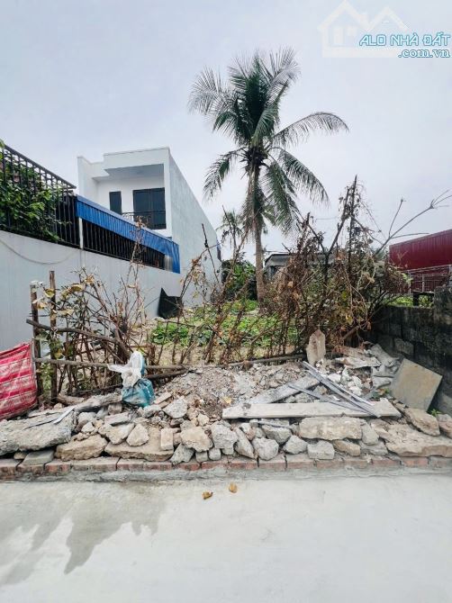 Bán đất 115m2 ngõ Lệnh Bá Chính Trọng, Hồng Bàng ô tô tận đất. - 2