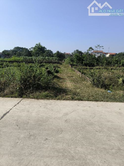 Bán Đất - Xã Minh Phú(Sóc Sơn) - 300M2 - 1,7Tỷ - 2