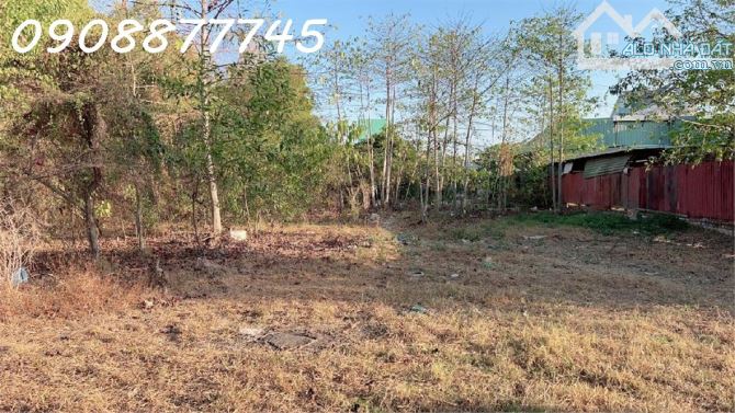 Cơ Hội Vàng 1500m2 Đất Ful Thổ Cư  P- An Phú Đông Quận 12, Vườn Lài, 55 tỷ - 2