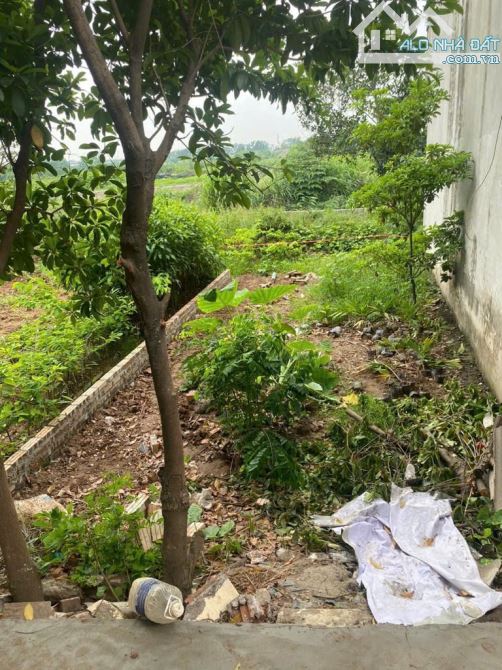 CẦN BÁN GẤP 💥 BÁN ĐẤT TRÂU QUỲ – GIA LÂM - VIEW SÔNG – HAI THOÁNG - 40M² 💵 3.7 TỶ - 2
