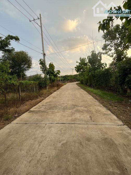 DO TUỔI CAO SỨC YẾU CẦN BÁN 11535M2 CÓ 200M2 THỔ CƯ NHÀ CẤP 4 ĐỦ LOẠI CÂY ĂN TRÁI CHỈ 4TỶ5 - 2