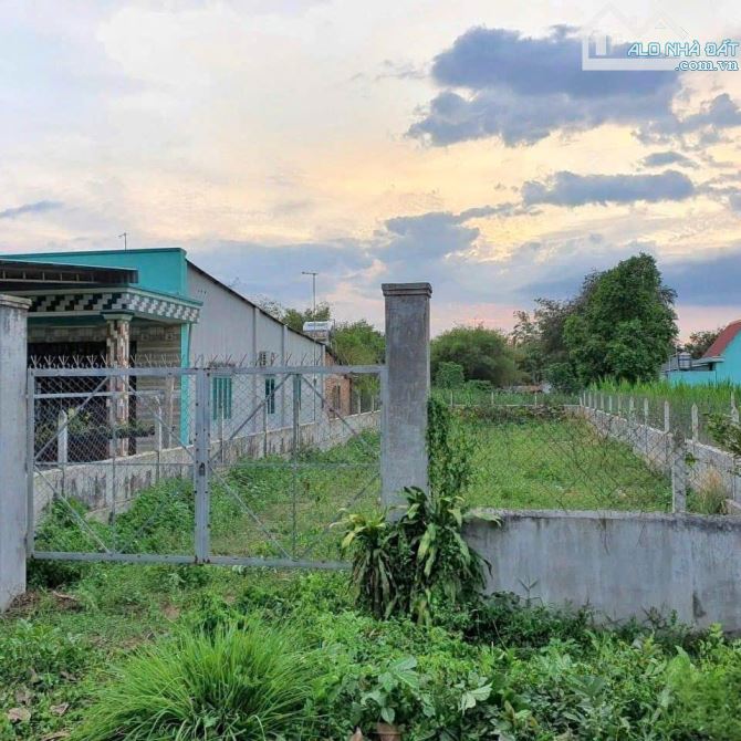 ĐANG NỢ NÊN BÁN RẺ LÔ ĐẤT 363M² GIÁ CHỈ 620 TRIỆU MT ĐƯỜNG ĐOÀN MINH TRIẾT THÁI MỸ CỦ CHI - 2