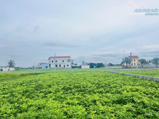 Cơ hội sở hữu đất biển nghỉ dưỡng thị trấn Quất Lâm 125m2, ô tô kinh doanh chỉ 1.65 tỷ - 2