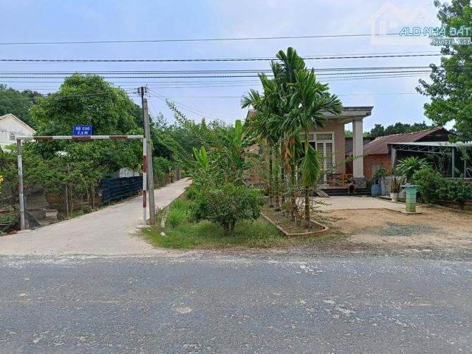 Bán nhà đường nhựa Gần trường Nguyễn an Ninh cũ, Thạnh Tây Tân Biên Tây Ninh - 2