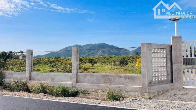 ÔNG ANH KẸT TIỀN BÁN GẤP LÔ ĐẤT NHÀ VƯỜN THỊ TRẤN PHƯỚC HẢI - BRVT CÁCH BIỂN CHỈ 1KM - 3
