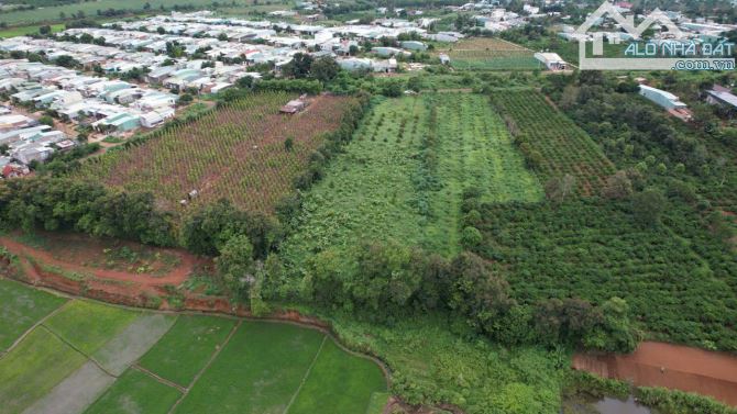 Cần bán lô đất hơn 7500m2 đất hẻm ÂU CƠ view ruộng, phường Thắng Lợi, Pleiku, Gia Lai - 3