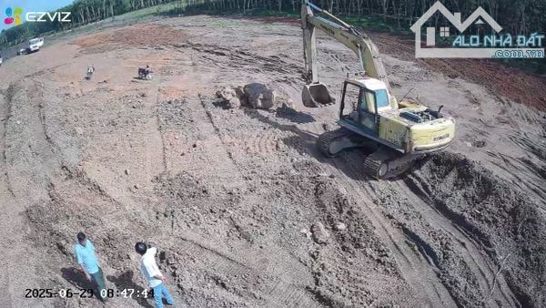Cho thuê đất trống cln tại xã long an, tp.hcm, diện tích 4,5 ha, 20tr - 3
