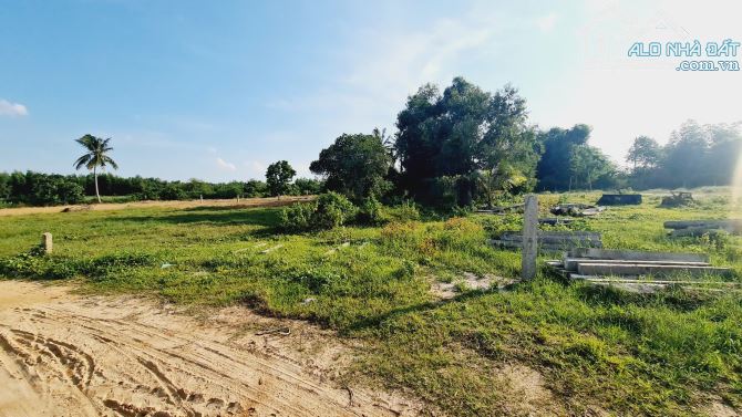 bán gấp 1000m2 phủ hồng, sổ riêng, đường rộng 6m, cách biển LaGi 1km. giá rẻ 1,1 tỷ - 3