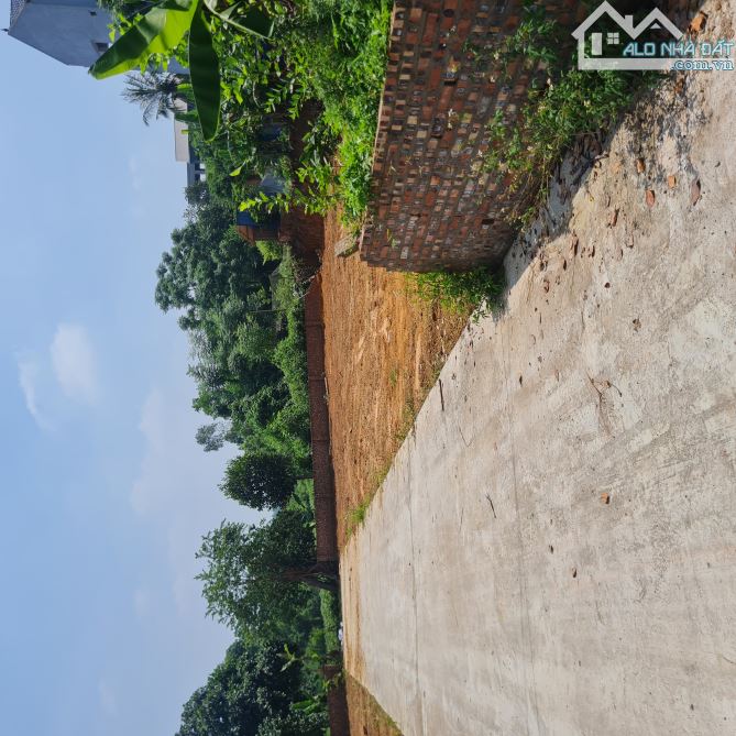 Bán lô đất 450m2 cực đẹp thôn Phúc Xuân, 50m ra đường oto tránh, KD. Tiện chia lô nhỏ - 3