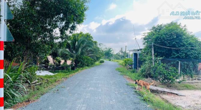BÁN GẤP NỀN ĐẤT 5X57M MẶT TIỀN ĐƯỜNG NGUYỄN THỊ BÀU, HUYỆN CỦ CHI – CHỈ 580 TRIỆU - 3